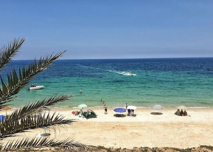 Huisdiervriedelijke Your ¥achting Home Sousse
