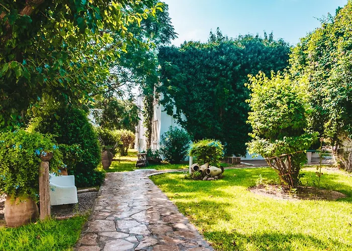 The Orangers Beach Resort And Bungalows All Inclusive Hammamet